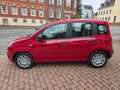 Fiat Panda Panda Pandina 1.0 GSE Hybrid Rouge - thumbnail 5