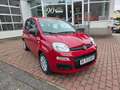 Fiat Panda Panda Pandina 1.0 GSE Hybrid Rouge - thumbnail 1