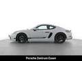 Porsche Cayman 718 Style Edition / Sportabgasanlage Rückfahrkam. Grijs - thumbnail 2