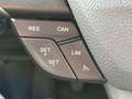 Ford EcoSport 1.0 ECOBOOST 125CH TITANIUM Grijs - thumbnail 19