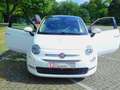 Fiat 500 1.2 8V Lounge Panoramadach Lederlenkrad Alufelgen Weiß - thumbnail 41