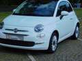 Fiat 500 1.2 8V Lounge Panoramadach Lederlenkrad Alufelgen Weiß - thumbnail 7