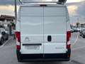 Citroen Jumper 33 BlueHDi 130 PM-TM Furgone Business Blanc - thumbnail 5