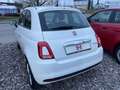 Fiat 500 1,0 GSE Hatchback Hybrid Weiß - thumbnail 5