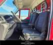 Iveco Daily 35S12 2.3 HPT PL CASSA Rot - thumbnail 11