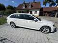 Skoda Superb Style Weiß - thumbnail 2