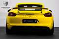 Porsche Cayman Cayman GT4 SportsitzPlus/Alcantara/PASM Gelb - thumbnail 6