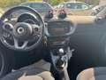 smart forFour forfour Edition #Panoramadach* - thumbnail 11
