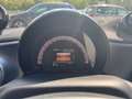 smart forFour forfour Edition #Panoramadach* - thumbnail 14