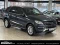 Mercedes-Benz ML 350 CDI BlueTec/Navigation/Teilleder/1.Hand Grau - thumbnail 1