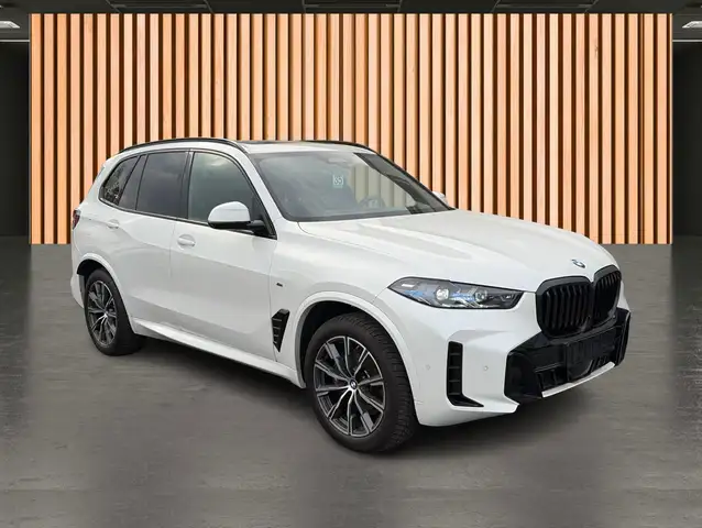 BMW X5 view 14