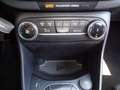 Ford Fiesta 1.0 Ecoboost Hybrid 125 CV 5 porte Titanium - thumbnail 14