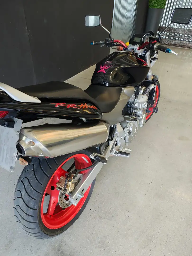 Honda Hornet 600 - SOLO EXPORT Nero - 2