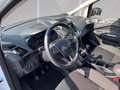 Ford C-Max Cool & Connect 1.0EcoBoost 125PS MT, Navi Білий - thumbnail 9