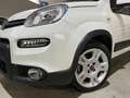 Fiat Panda PANDA 1.0 Hybrid City Cross 5 POSTI/VETRI SCURI Blanc - thumbnail 4