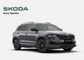 Skoda Karoq Sportline 1,5 TSI 110 kW*KAM*SZH*AHK*LED* Grau - thumbnail 10