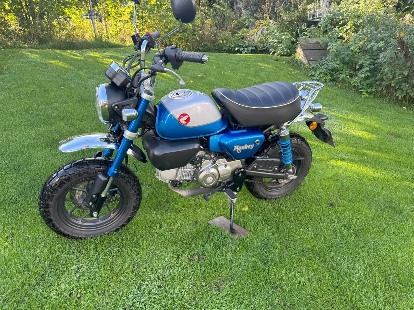 Honda Monkey 125 - 1