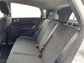 Ford Fiesta 1.5 TDCi 75 CV 5p. Business Wit - thumbnail 5