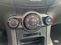 Ford Fiesta 1.5 TDCi 75 CV 5p. Business Wit - thumbnail 12