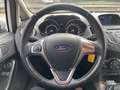 Ford Fiesta 1.5 TDCi 75 CV 5p. Business Wit - thumbnail 9