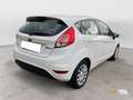 Ford Fiesta 1.5 TDCi 75 CV 5p. Business Wit - thumbnail 2