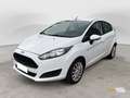 Ford Fiesta 1.5 TDCi 75 CV 5p. Business Wit - thumbnail 1
