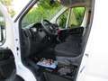 Fiat Ducato DUCATO MULTIJET 3 140 PROFESSIONAL Weiß - thumbnail 12