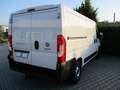 Fiat Ducato DUCATO MULTIJET 3 140 PROFESSIONAL Weiß - thumbnail 7