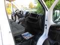 Fiat Ducato DUCATO MULTIJET 3 140 PROFESSIONAL Weiß - thumbnail 13