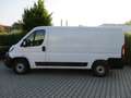 Fiat Ducato DUCATO MULTIJET 3 140 PROFESSIONAL Weiß - thumbnail 4