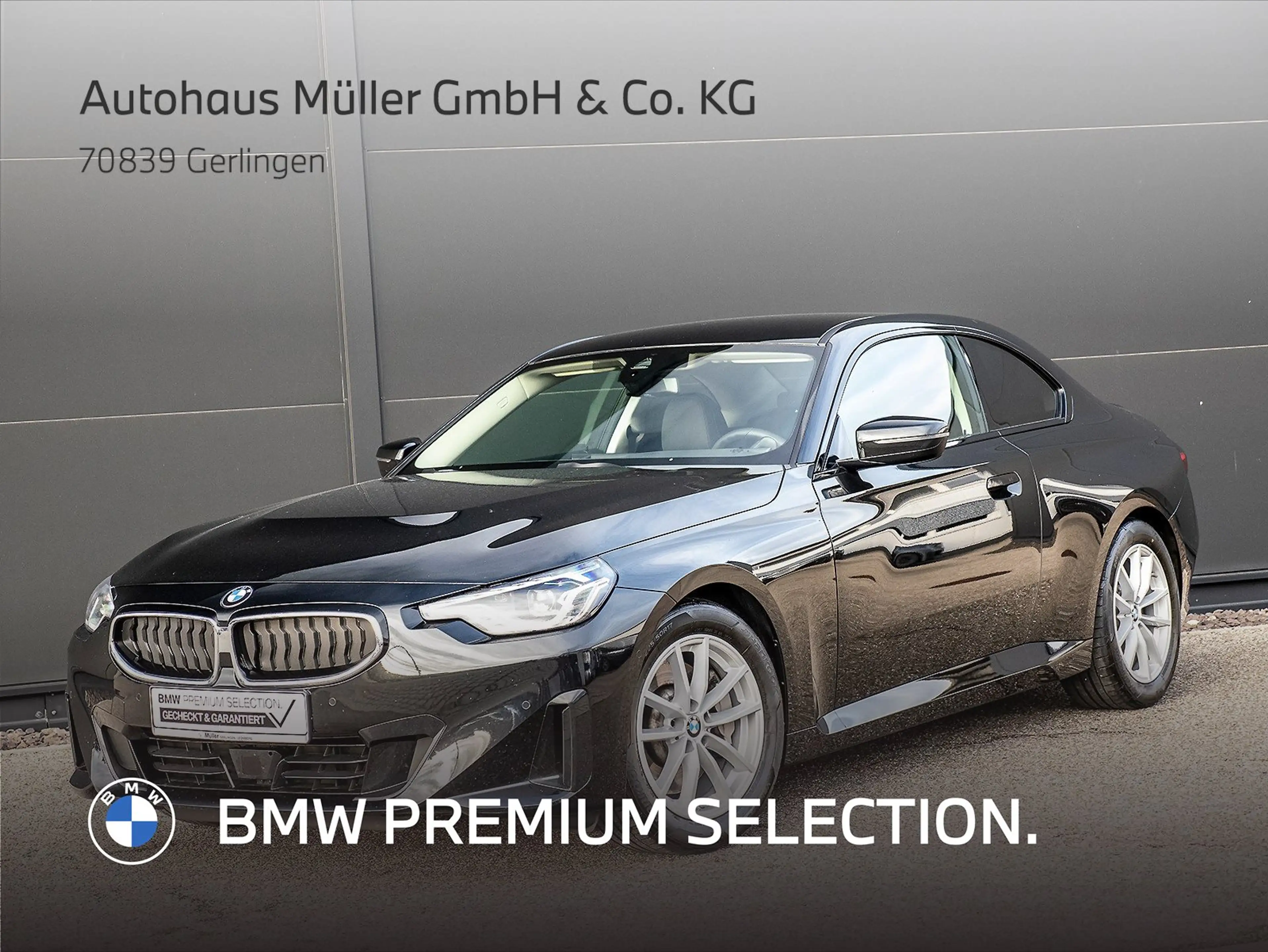 BMW 230 i Coupé DAB Adapt-LED SH Kamera HiFi 1VB