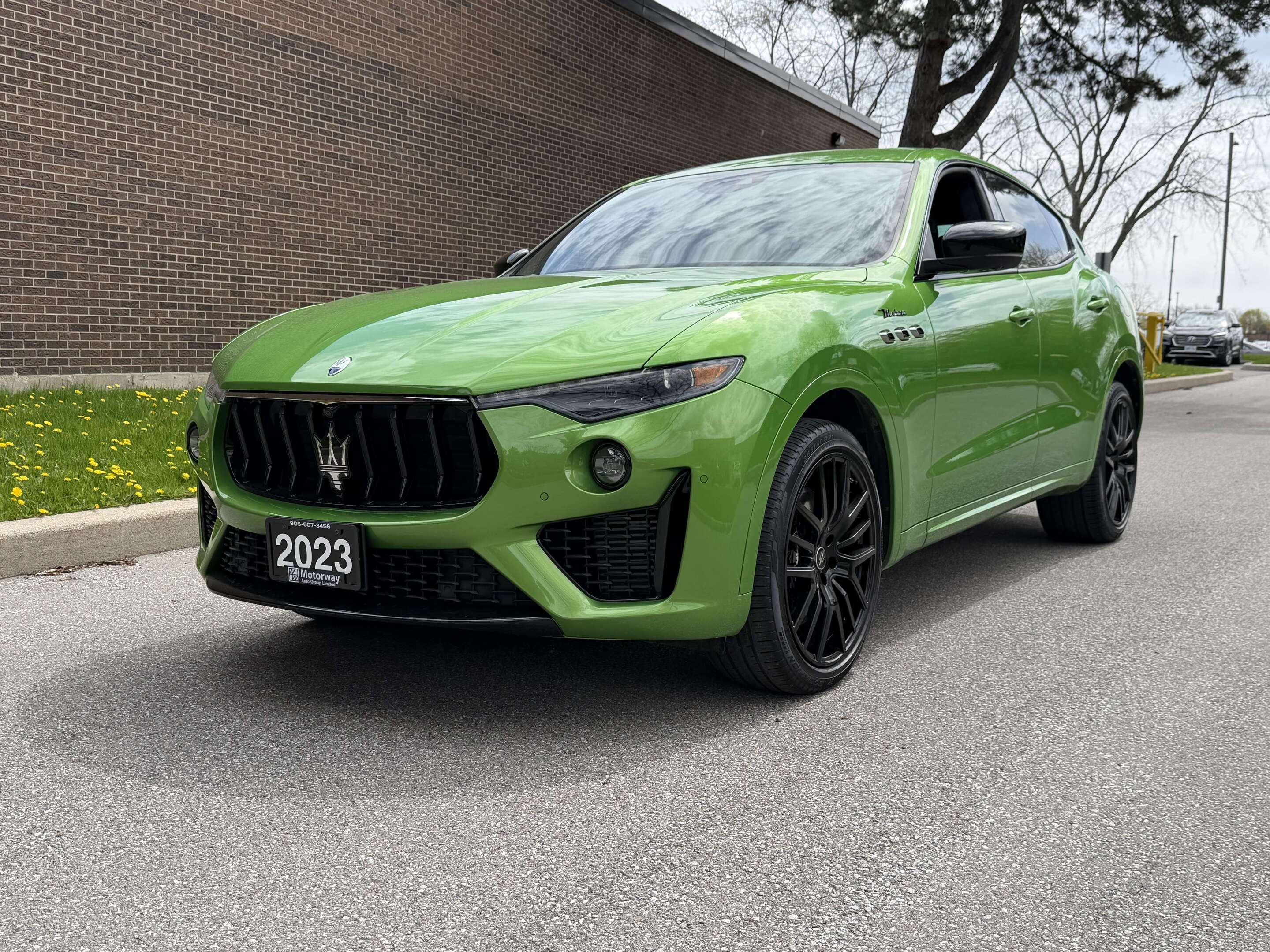 2023 Maserati Levante Modena Limited Edition/ Urban Green Metallic.