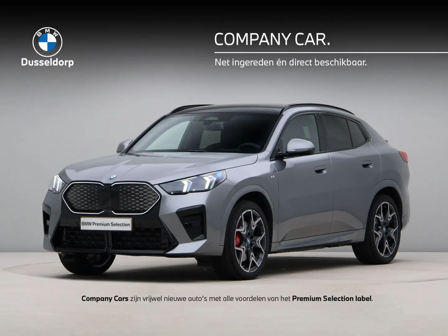 BMW iX2 eDrive20 67 kWh Gris - 1