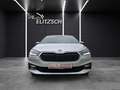 Skoda Fabia TSI Style DSG LED Klima AID RFK SH Silber - thumbnail 10