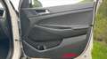 Hyundai TUCSON 1.7 CRDi 115 Executive Blanc - thumbnail 24