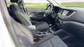 Hyundai TUCSON 1.7 CRDi 115 Executive Blanc - thumbnail 27