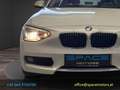 BMW 114 i Österreich-Paket Weiß - thumbnail 4