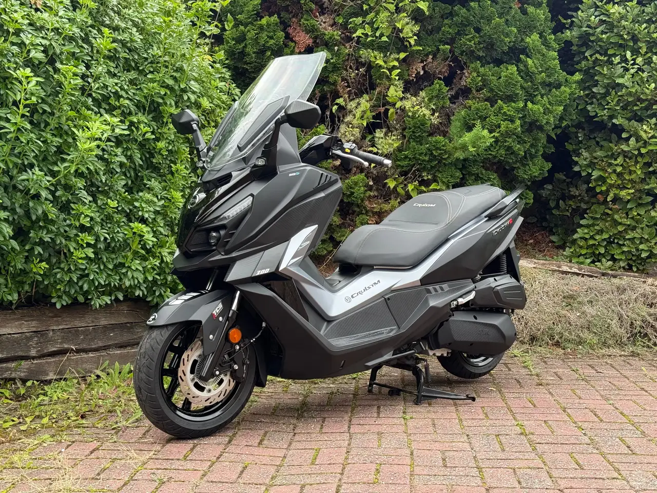 Sym Cruisym 300
