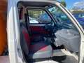Piaggio Quargo 700 DIESEL VASCA RIBALTABILE Blanc - thumbnail 6