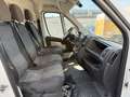 Peugeot Boxer Kasten L4H2 Pro Avantage+ AHK RFK Klima E6 Blanco - thumbnail 15