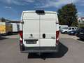 Peugeot Boxer Kasten L4H2 Pro Avantage+ AHK RFK Klima E6 Blanco - thumbnail 5