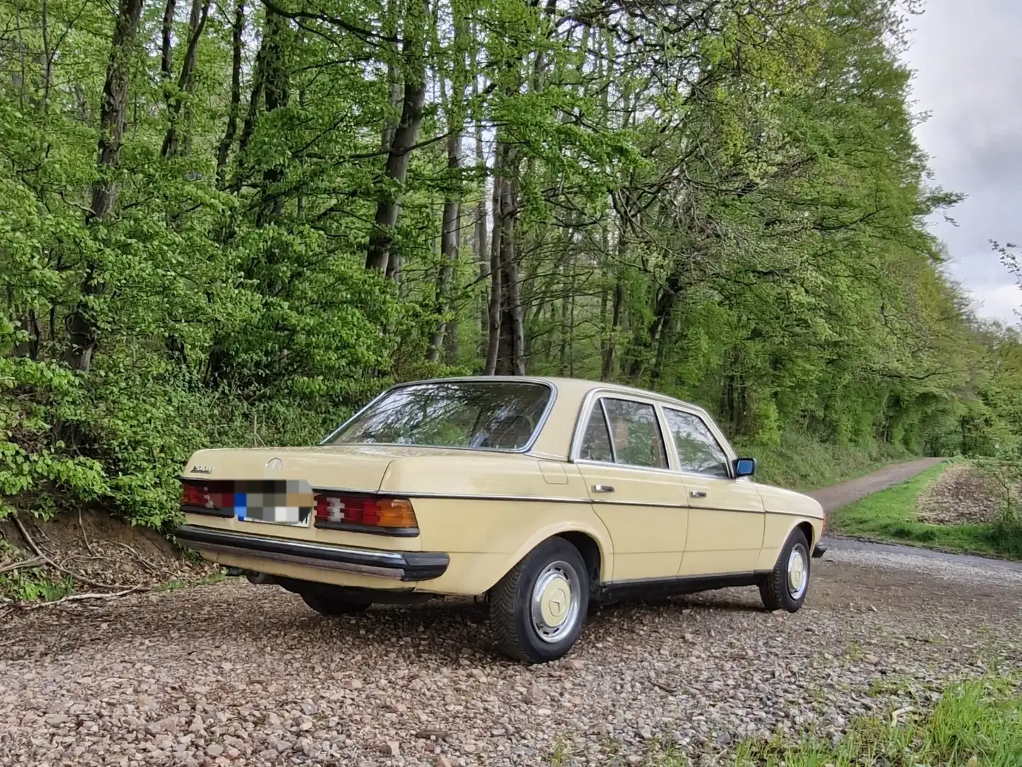 Mercedes-Benz 200 D W123 Giallo - 2
