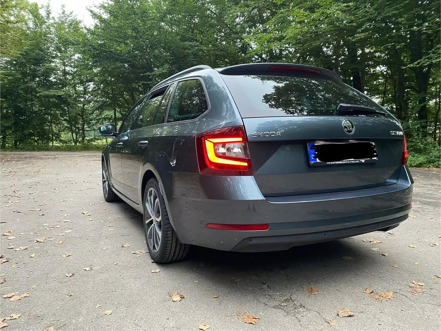 Skoda Octavia Soleil Grau - 2