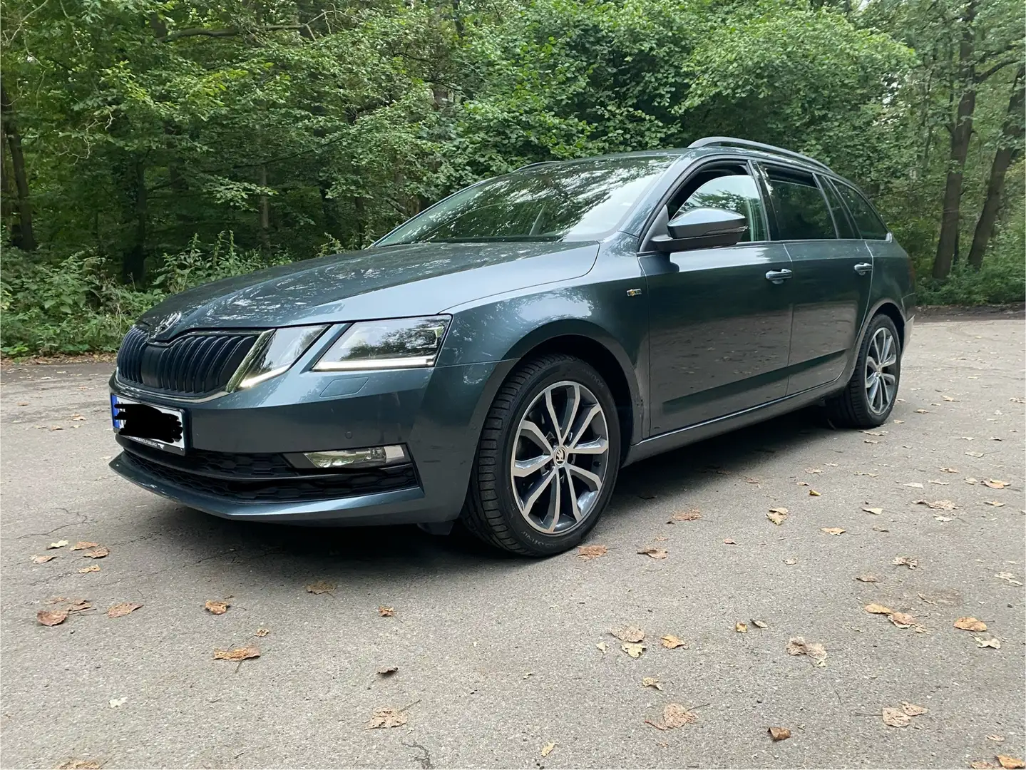 Skoda Octavia Soleil Grau - 1