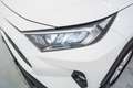 Toyota RAV 4 2.5 hybrid 2WD Business Blanco - thumbnail 10