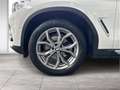BMW X3 xDrive20d G01 XD5 xLine Gestiksteuerung DAB Blanc - thumbnail 6