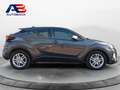 Toyota C-HR 125H Advance Gris - thumbnail 7