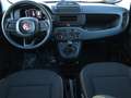 Fiat Panda 1.0 FireFly Hybrid ADAS Pandina NUOVA KM0 IBRIDA Jaune - thumbnail 7