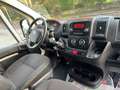 Citroen Jumper Jumper 30 BlueHDi 120 S&S PC-TN Furgone Blanc - thumbnail 8