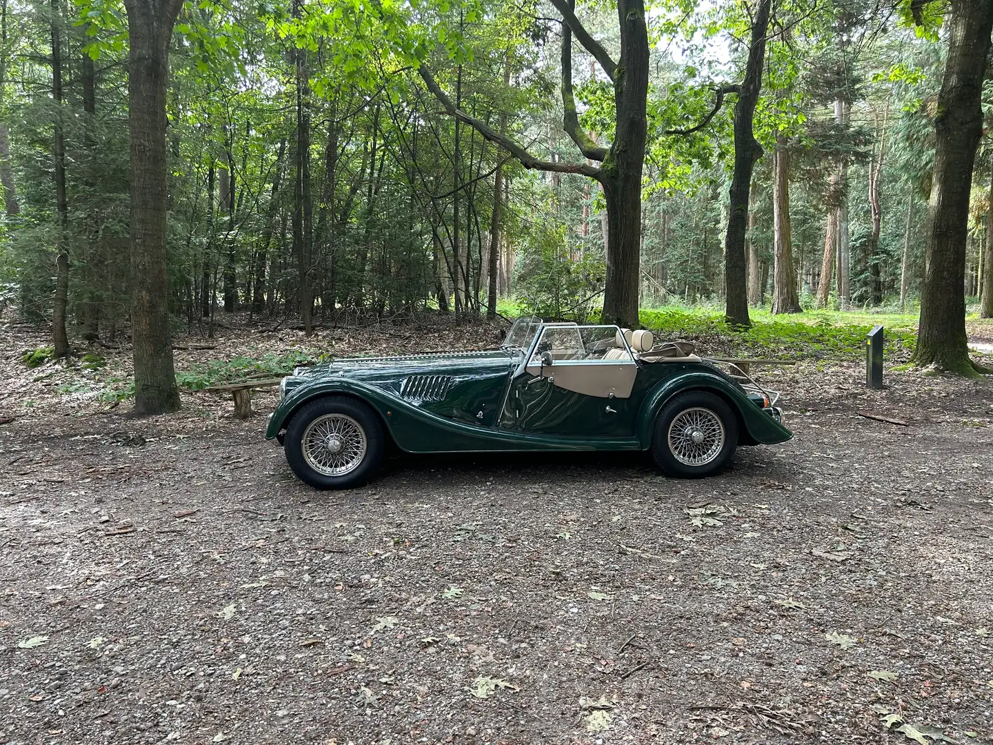Morgan 4/4 4/4 1.6 Verde - 1